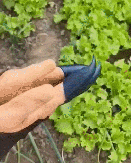 BowLift | Garden Planting Gloves