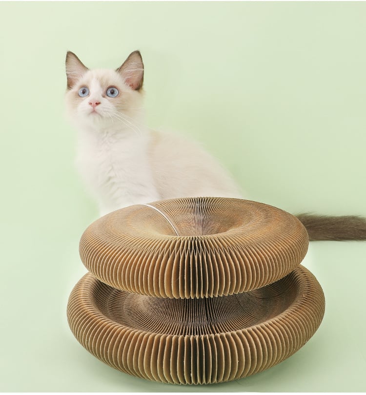 BowLift | Magic Cat Scratch Board(with ball )