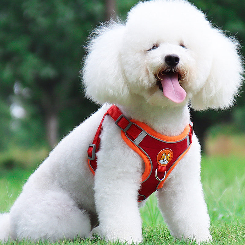 BowLift | Reflective Pet Harness and Leash Set