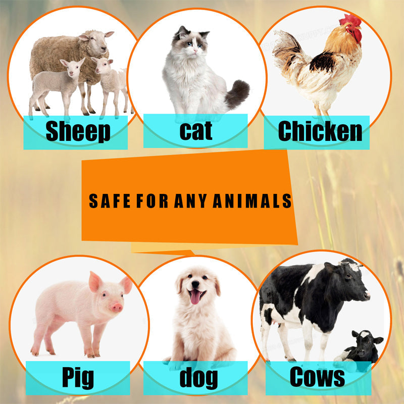 BowLift | Instant Equine Insect Repellent