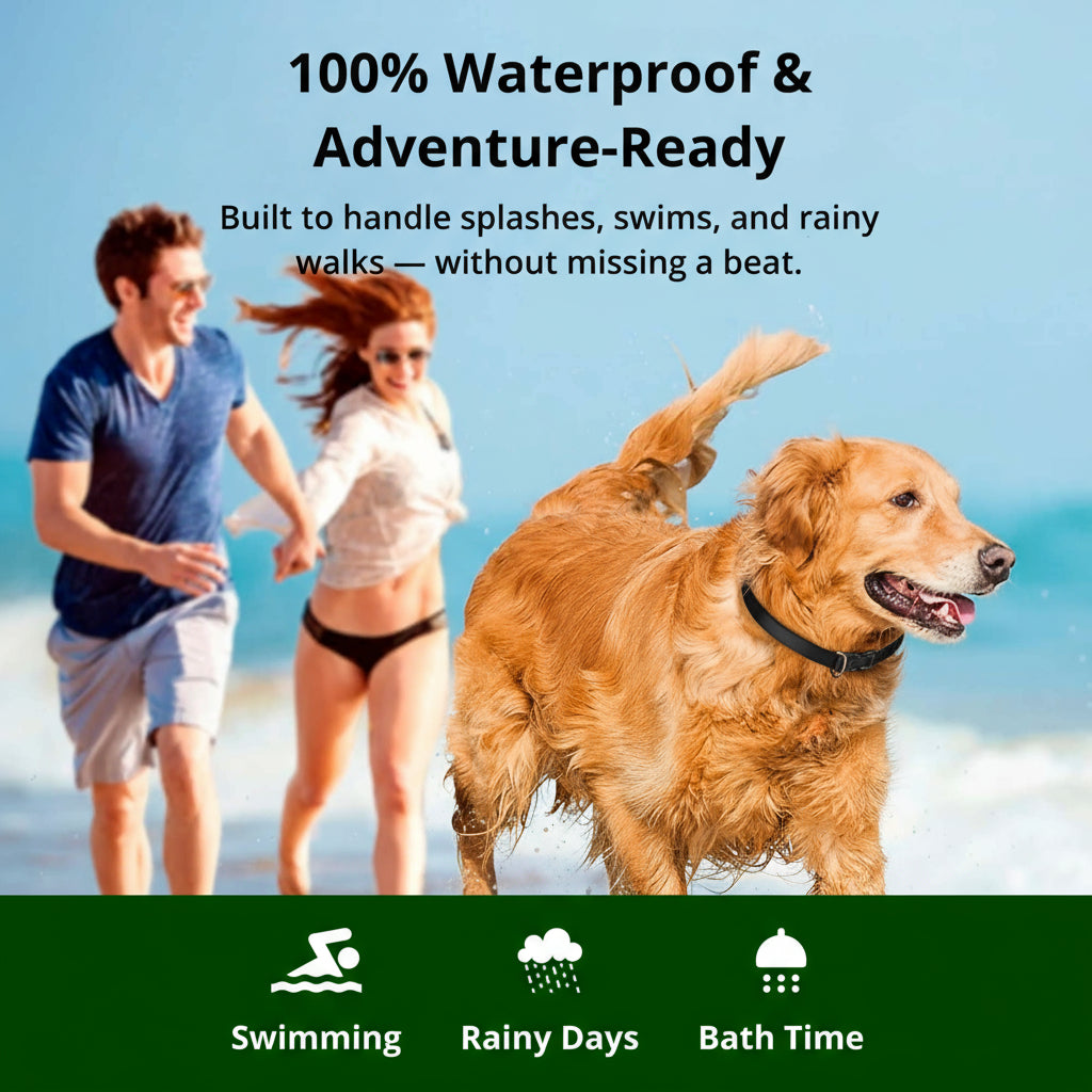 BowLift | 1000m Waterproof Dog Training Collar | IP67 Submersible Receiver | 100-Level Vibration & Static Pulse Modulation | 60-Day Lithium-Polymer Battery | High-Tensile Reflective Nylon