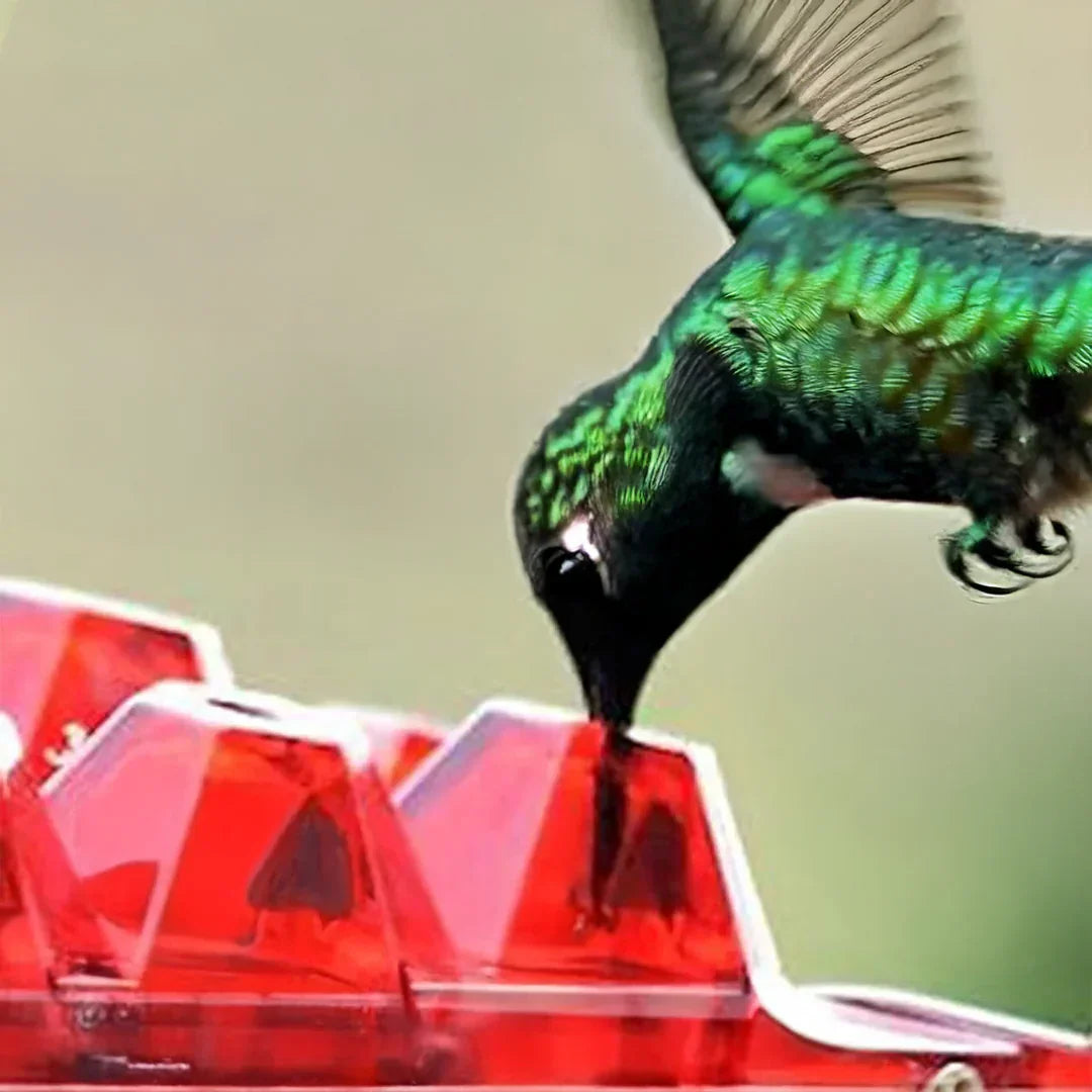 BowLift | Ant-Proof Hummingbird Feeder with 30 Bee-Resistant Ports
