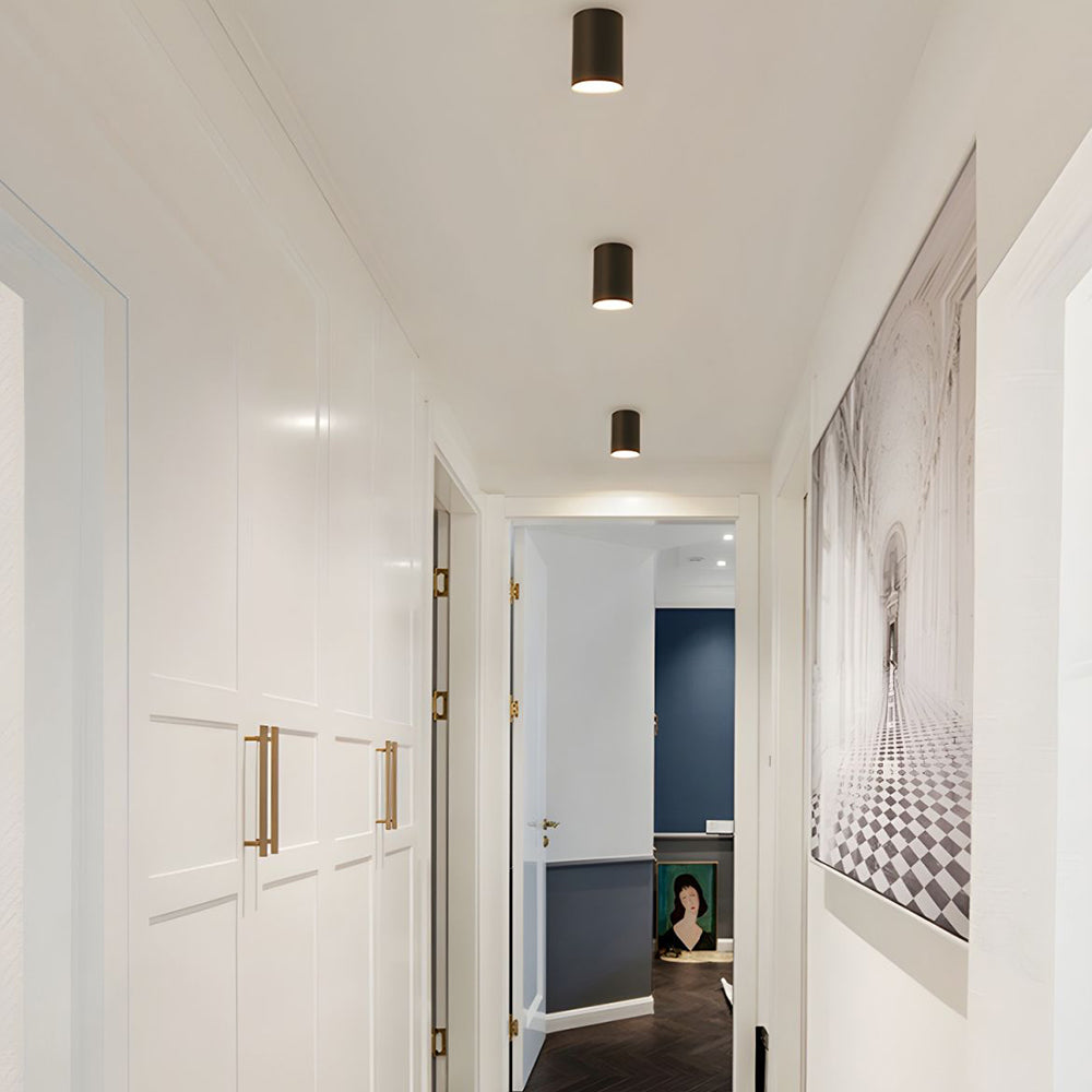 BowLift | Ceiling Light Modern Aluminum LED Downlight