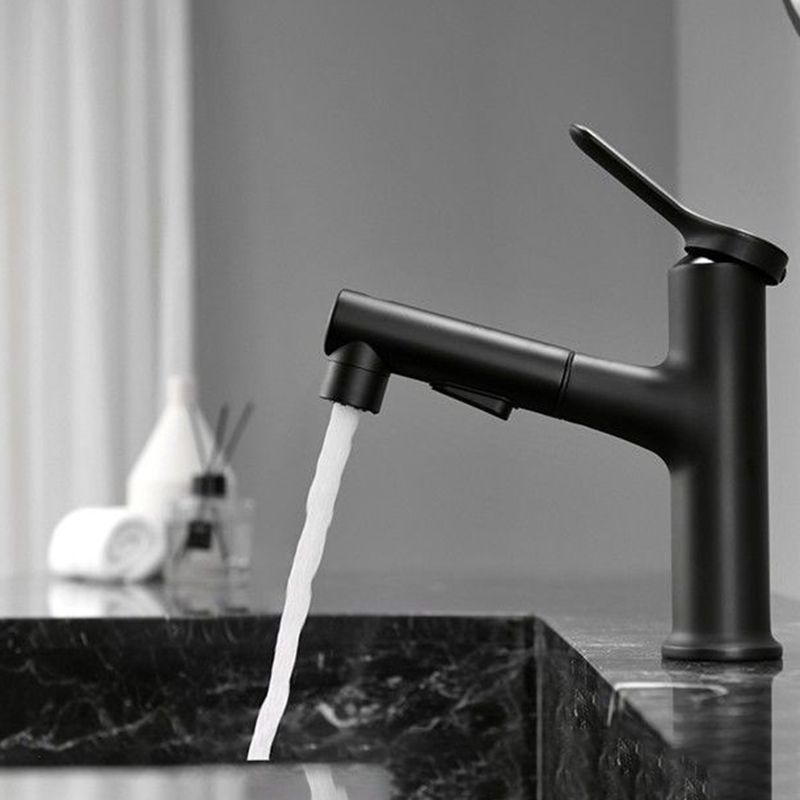 BowLift | Contemporary Style Faucet Single Lever Mixer with Swivel Spout