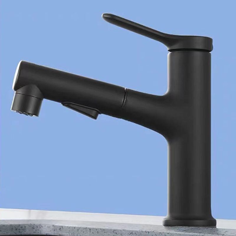 BowLift | Contemporary Style Faucet Single Lever Mixer with Swivel Spout
