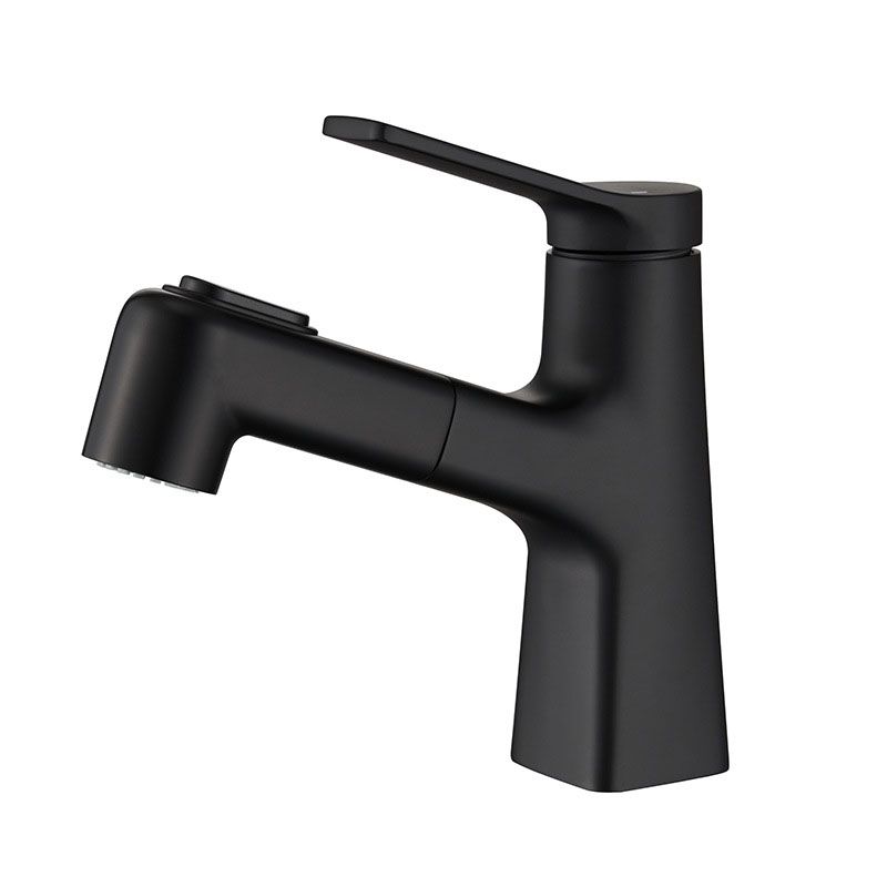 BowLift | Contemporary Vessel Faucet Metal Single Handle Low Arc Vessel Faucet for the Bathroom
