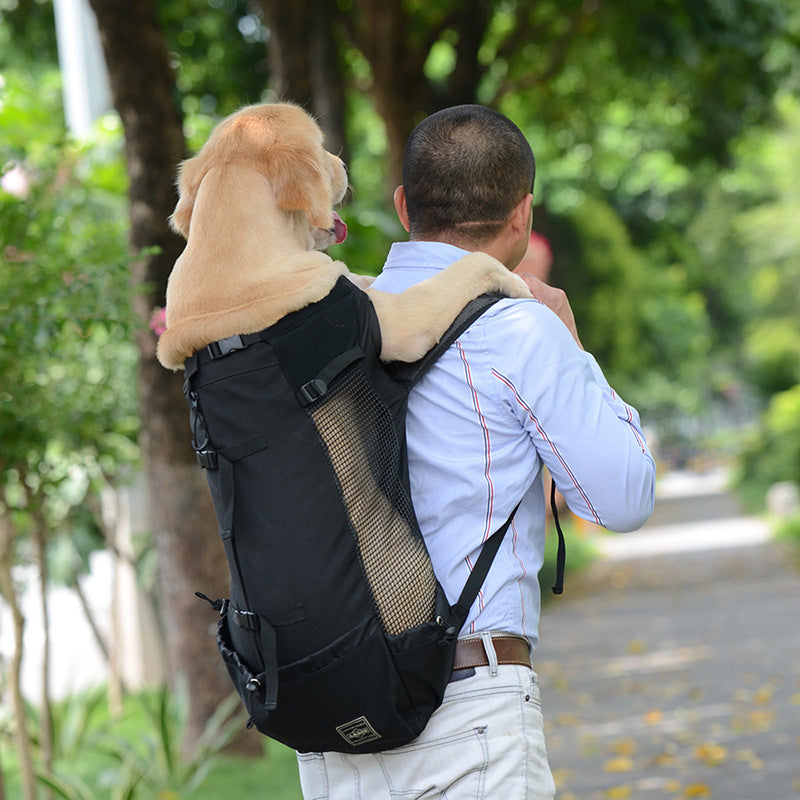 BowLift | Dog Backpack – Comfortable Carrying Bag for Medium Dogs with Safety Strap and Storage Pockets
