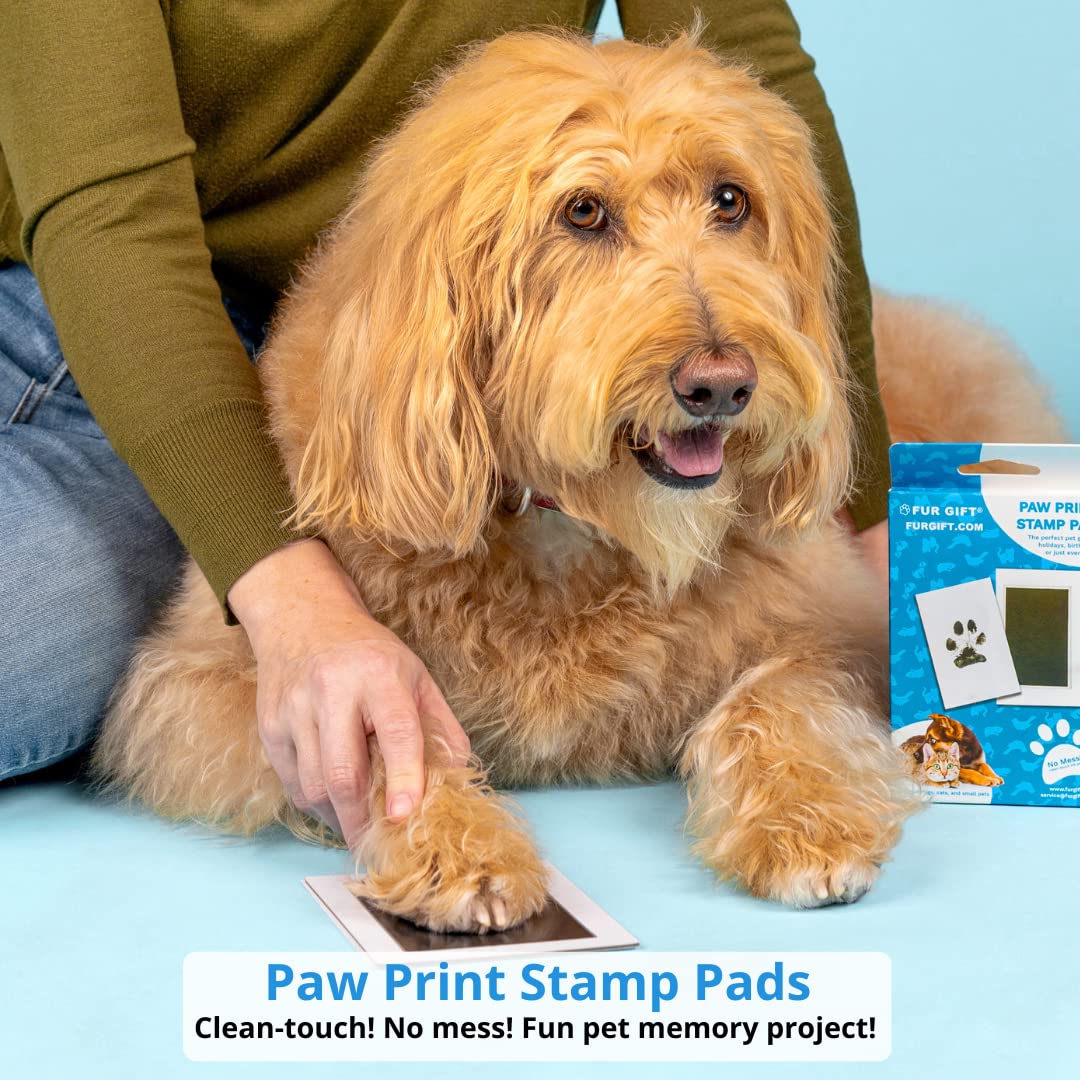 BowLift | Paw Print Stamp Pad