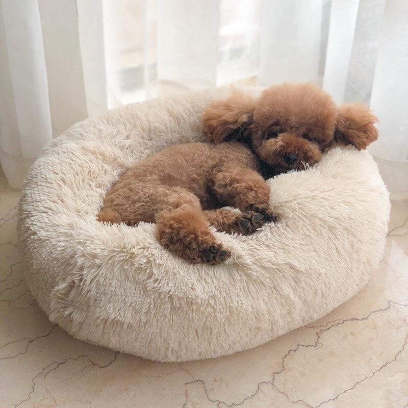 BowLift | Calming Dog Bed