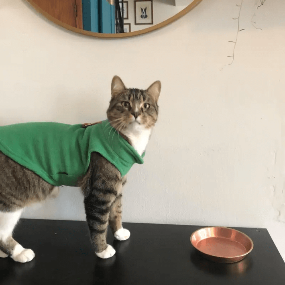Warm & Cozy Fleece Dog Vest