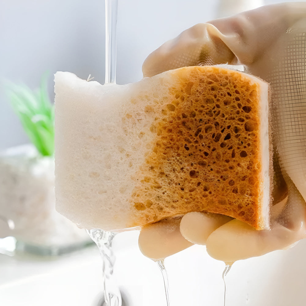 BowLift | Coconut Fiber Natural Dish Sponge