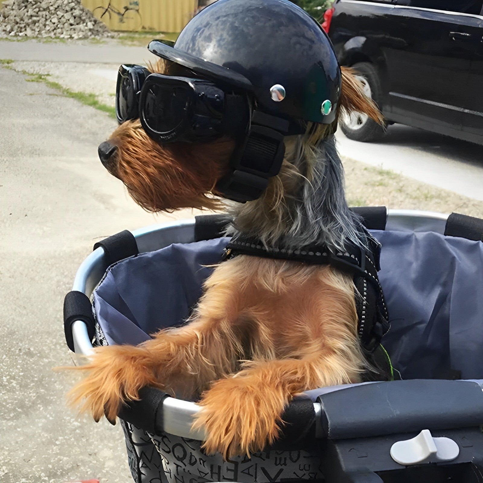 BowLift | Motorcycle Helmet and Goggles for Dogs – Trendy and Safe