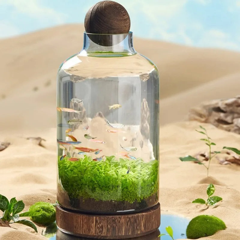 BowLift | Micro Aquarium Compact Glass Ecological Fish Tank