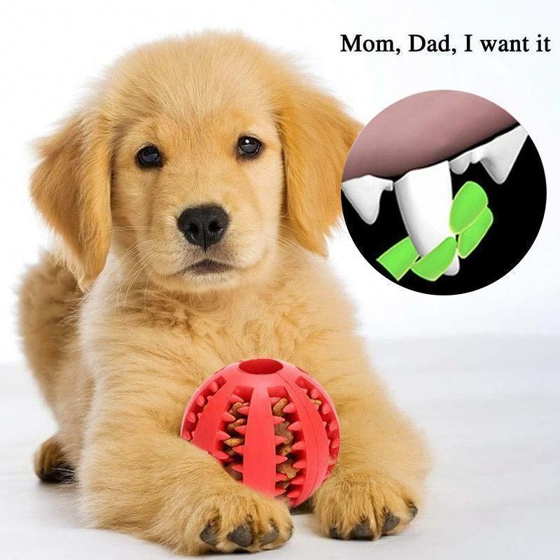 BowLift | Dog Chewing Rubber Ball