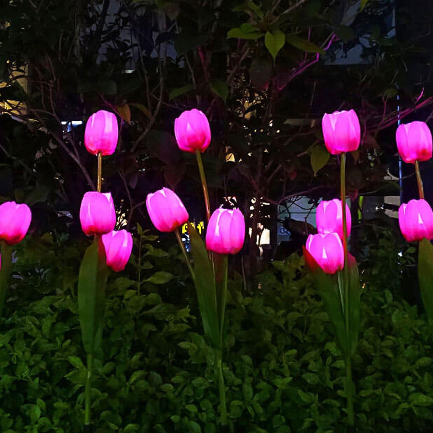 BowLift | Solar Tulip Lawn Light Outdoor Garden LED Tulip Flower Light Ground Stake Landscape Light