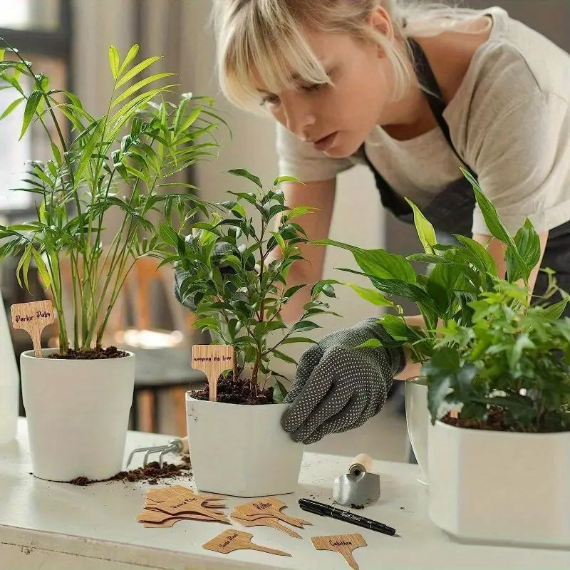 BowLift | Plant labels made of wood for garden and balcony ā Rewritable labels for herbs and plants