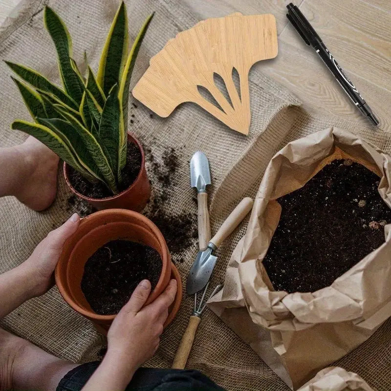 BowLift | Plant labels made of wood for garden and balcony ā Rewritable labels for herbs and plants