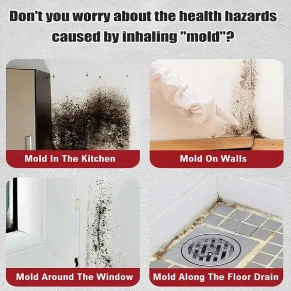 BowLift | High-Performance Anti-Mold Foam Spray – Deep Cleaning & PRedection