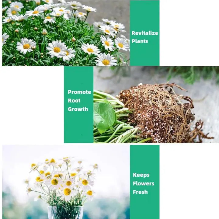 BowLift | Plant Growth Enhancer – Organic Root Activator