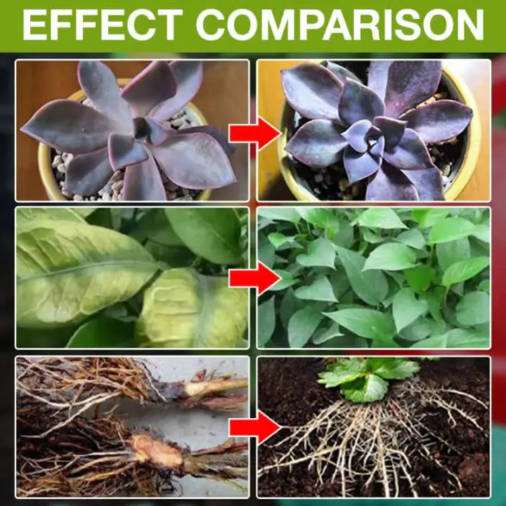 BowLift | Plant Growth Enhancer – Organic Root Activator