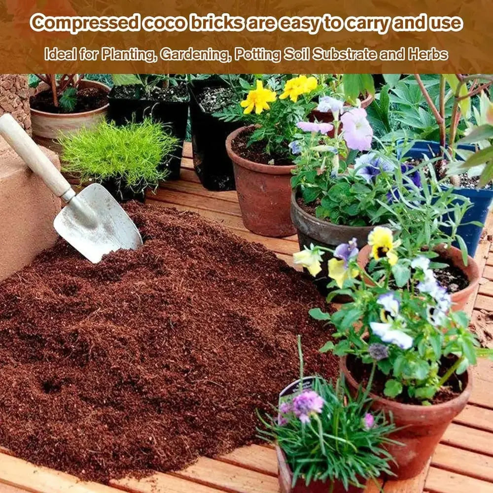 BowLift | | Premium Organic Coconut Soil Brick – Promote Natural Plant Growth