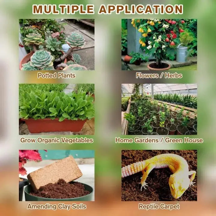 BowLift | | Premium Organic Coconut Soil Brick – Promote Natural Plant Growth