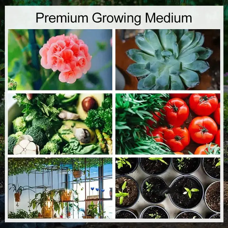 BowLift | | Premium Organic Coconut Soil Brick – Promote Natural Plant Growth