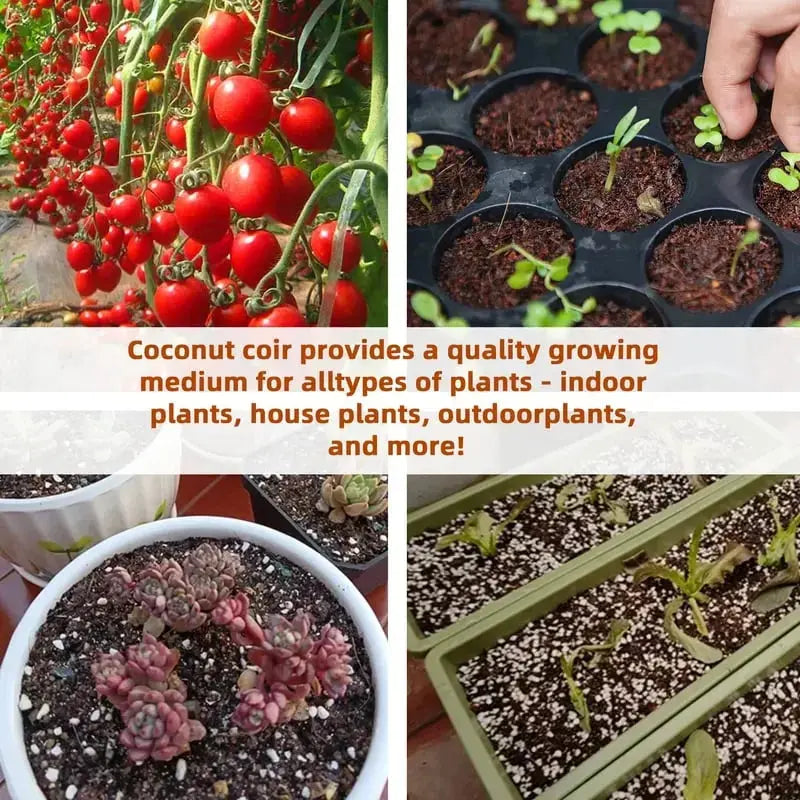 BowLift | | Premium Organic Coconut Soil Brick – Promote Natural Plant Growth