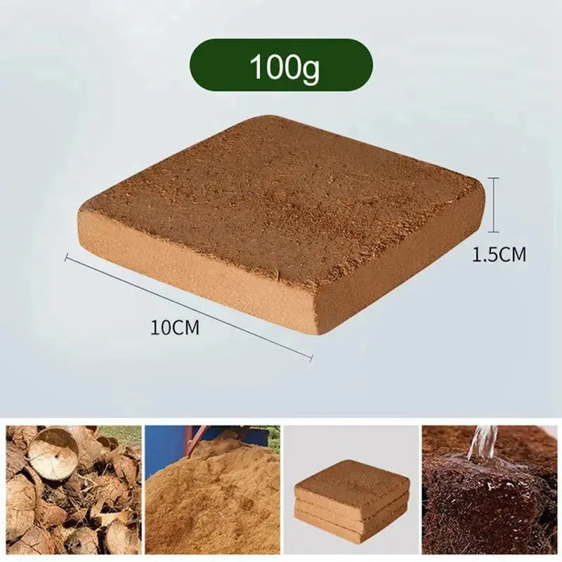 BowLift | | Premium Organic Coconut Soil Brick – Promote Natural Plant Growth