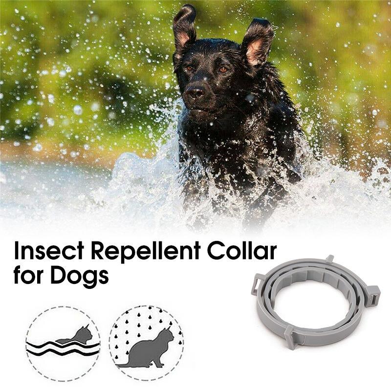 BowLift | Adjustable Insect Defense Collar for Pets