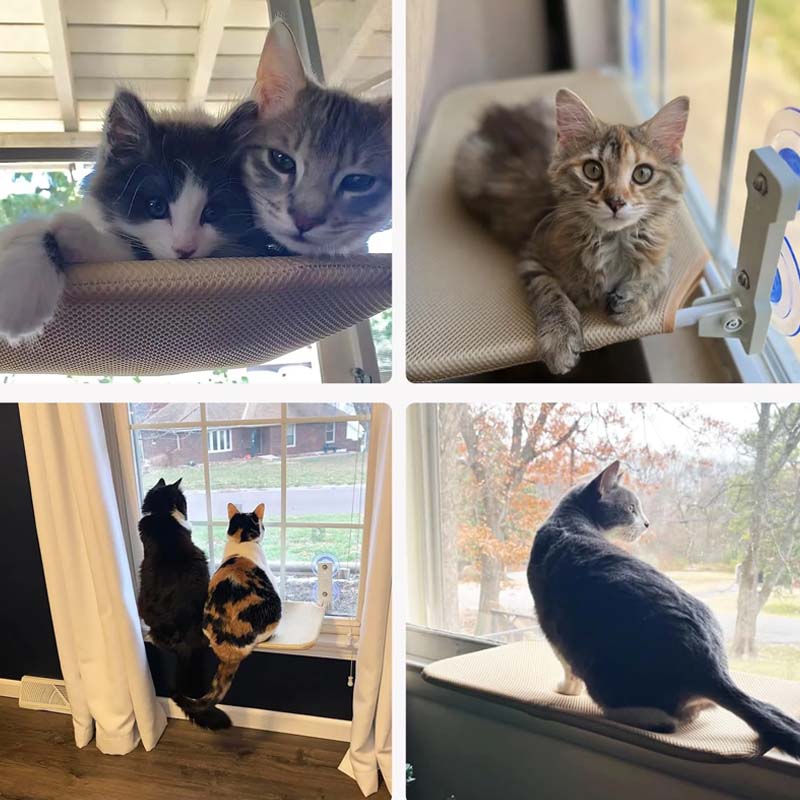 BowLift | Foldable Cat Window Bed