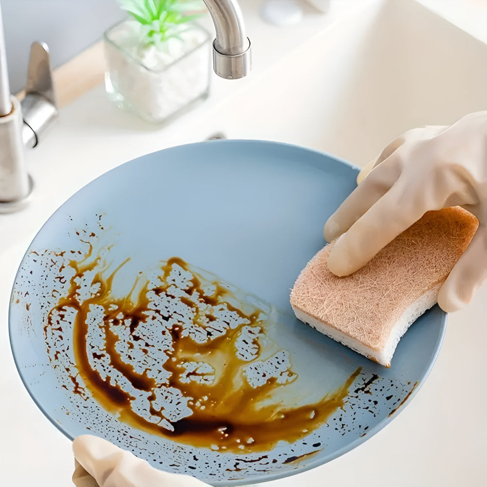 BowLift | Coconut Fiber Natural Dish Sponge