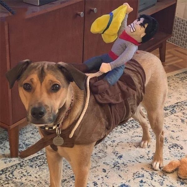 BowLift | The Cowboy Rider Dog Costume