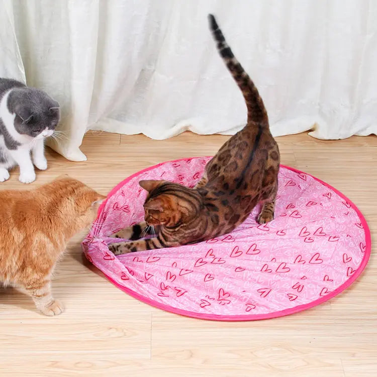BowLift | 2-in-1 Hunting Toy for Cats – Promotes Hunting Instinct & Movement