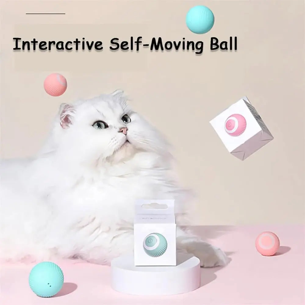 BowLift | 2-in-1 Hunting Toy for Cats – Promotes Hunting Instinct & Movement