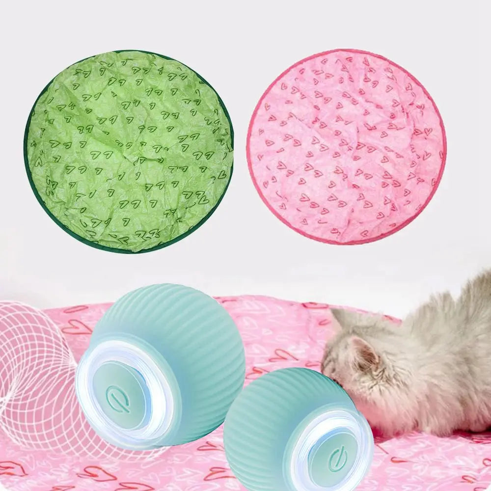 BowLift | 2-in-1 Hunting Toy for Cats – Promotes Hunting Instinct & Movement