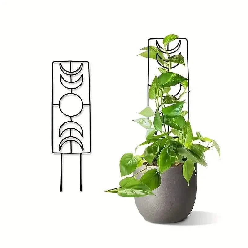 BowLift | 2-Pack: Metal Plant Frame for Climbing Plants Indoor
