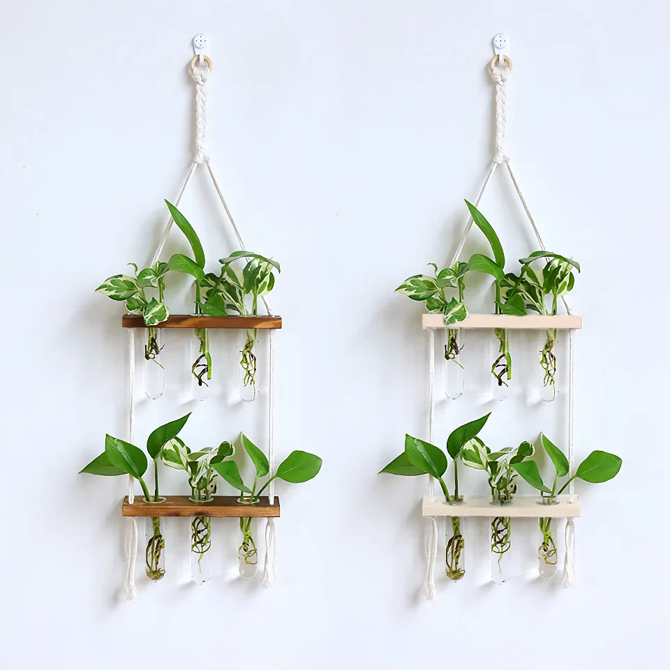 BowLift | Elegant Wooden Hydroponic Wall Vase