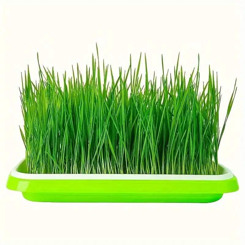 BowLift | Germination trays with lid – Double-layer seed sowing tray for effective seed germination