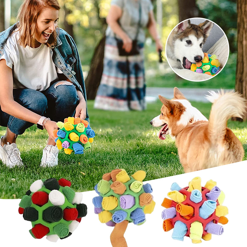 BowLift | Dog chew toy