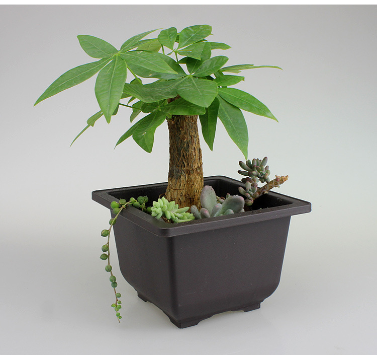 BowLift | Plant pot with saucer – Rectangular flower pot for garden and balcony