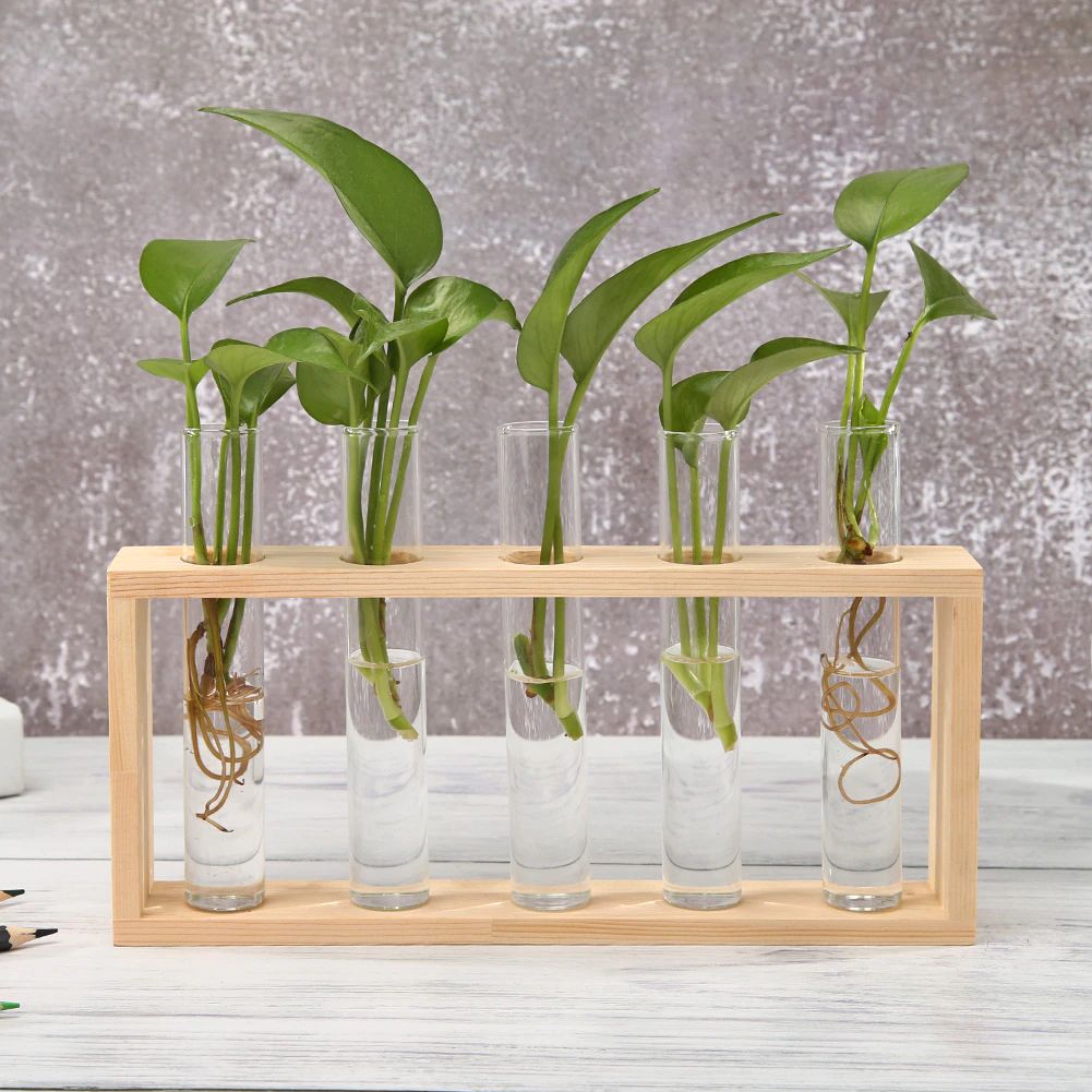 BowLift | Test Tube Vase