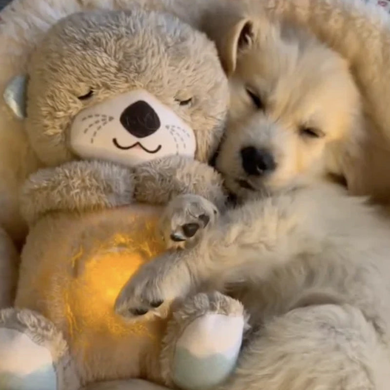 BowLift | Calming Otter Plush