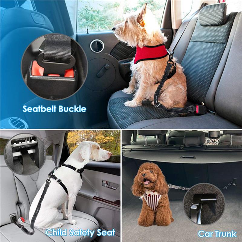 BowLift | Adjustable Safety Belts for Dogs
