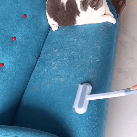 BowLift | 3-in-1 Pet Hair Remover - PetClean Pro