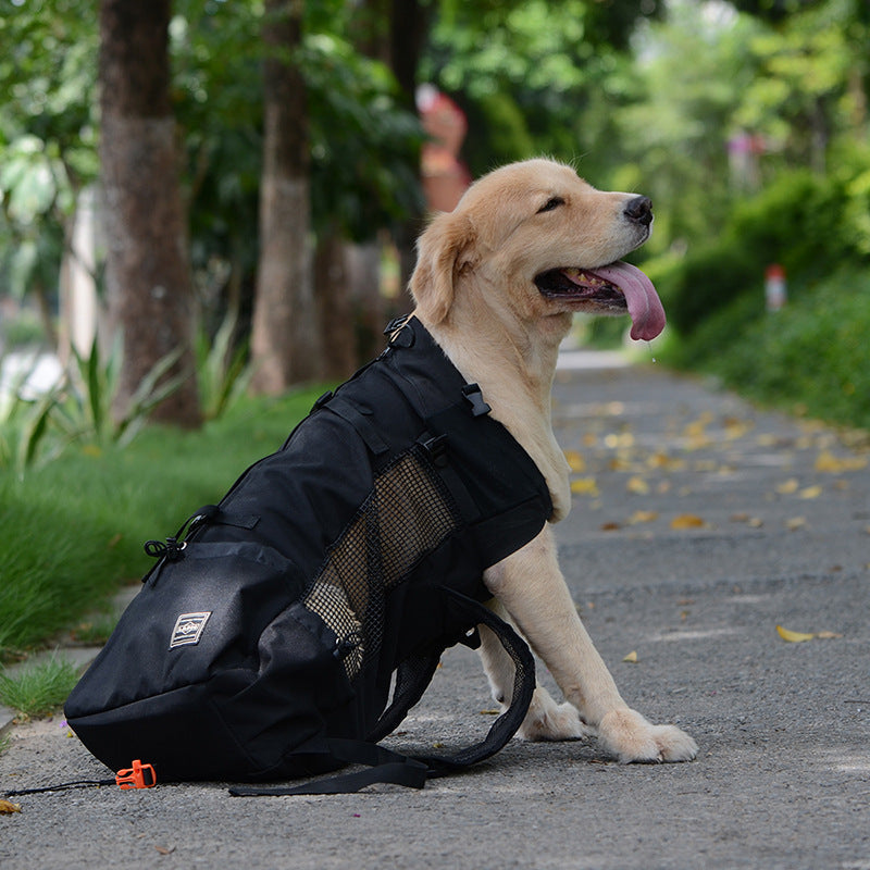 BowLift | Dog Backpack – Comfortable Carrying Bag for Medium Dogs with Safety Strap and Storage Pockets