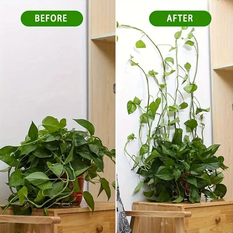 BowLift | Climbing Wall Mounting Clips – Practical Plant Holders for Wall Decoration