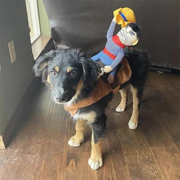 BowLift | The Cowboy Rider Dog Costume