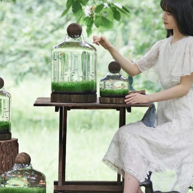 BowLift | Micro Aquarium Compact Glass Ecological Fish Tank