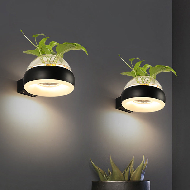 BowLift | Clear Glass Dome Wall Lighting Industry 1 Bulb Bedroom LED Wall Light Lamp in Black/Grey/White with Plant Holder